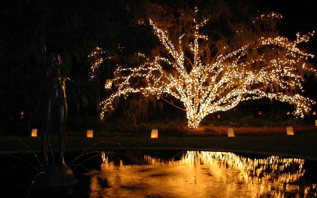 Tree decorated with lights at Brookgreen Gardens