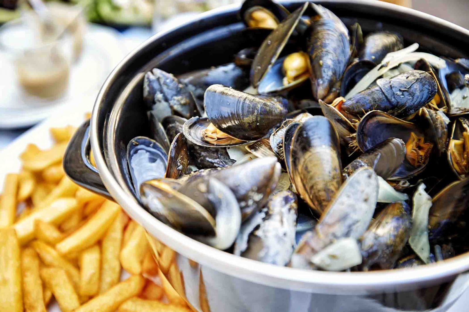 Fresh mussels and french fries