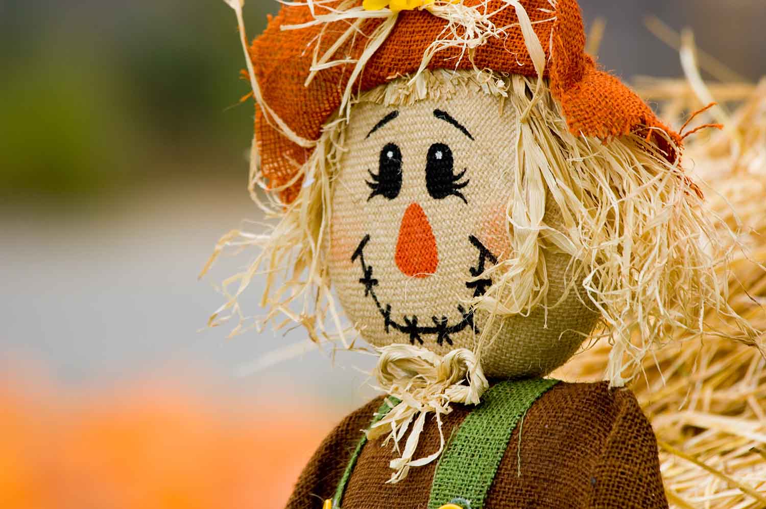 Scarecrow in a field
