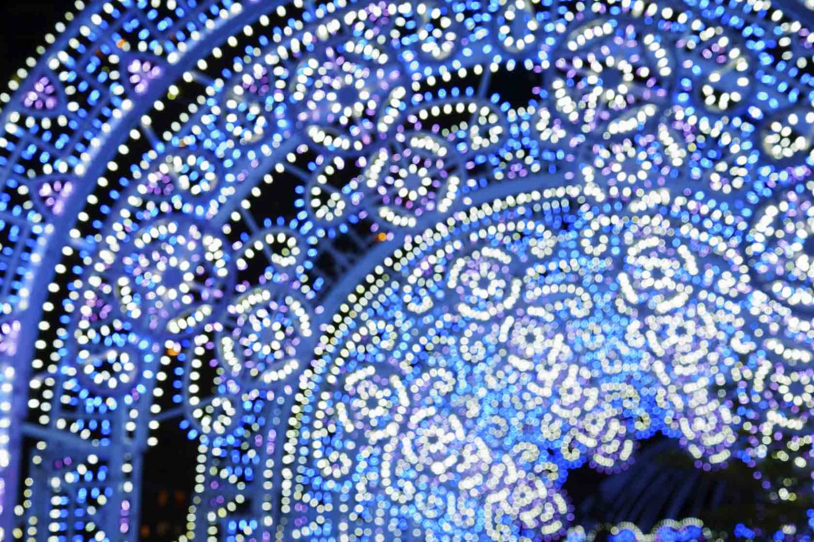 Holiday light tunnel at a light display show
