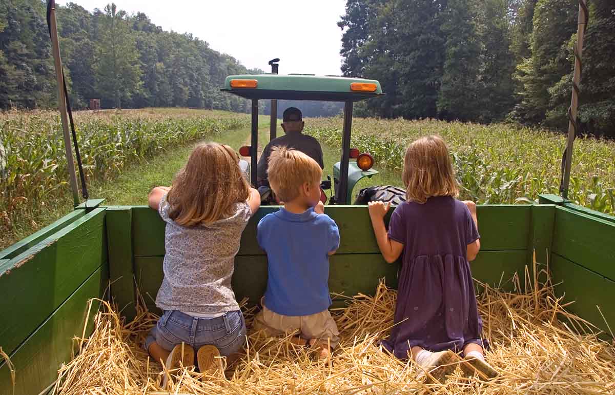 Kids on a hayride at the Harvest Festival