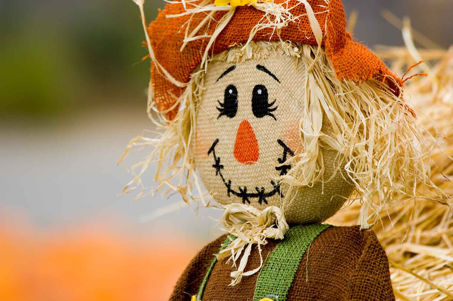 A Scarecrow at the Harvest Festival