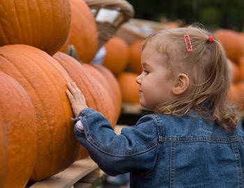 Little girl enjoying looking at pumpkins at the Harvest Home Festival