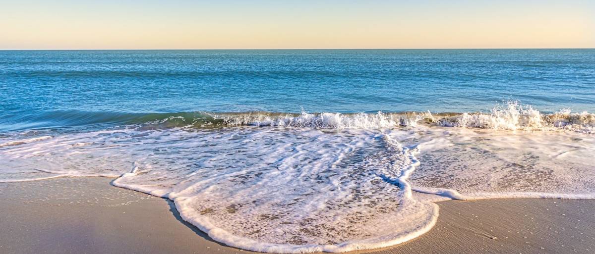 Tide Charts & Local Weather Sea Star Realty