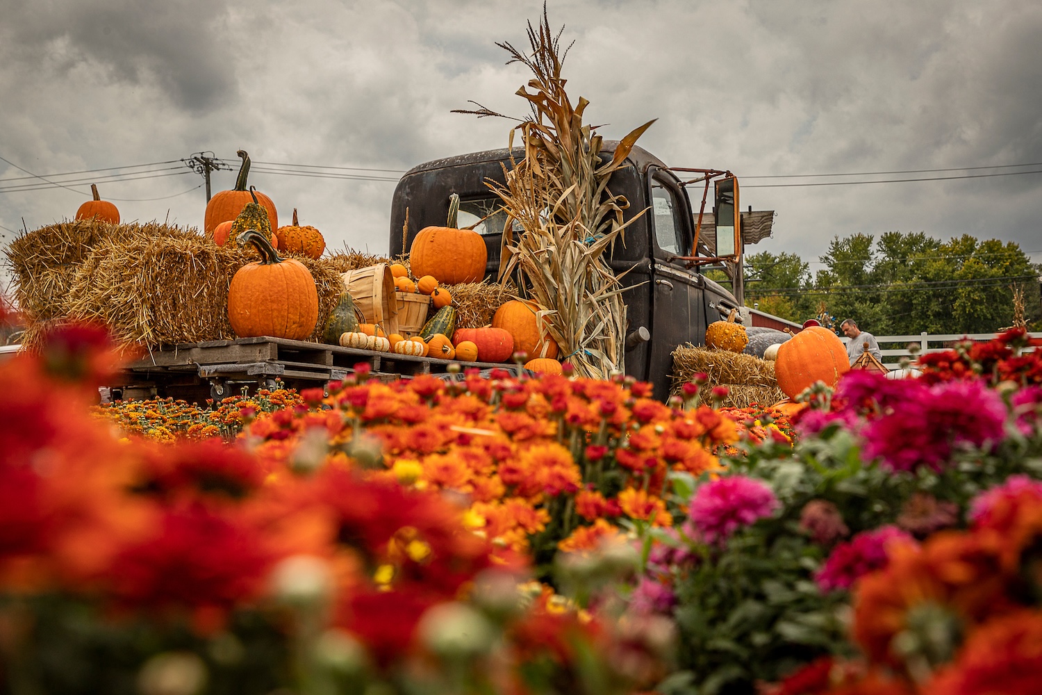 Truck decorated for Fall.